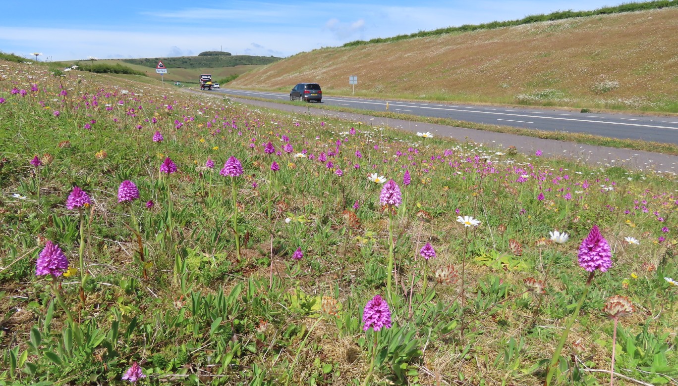 Weymouth relief road