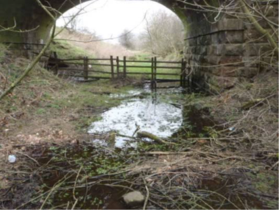 Image taken during 2015 exam showing flooding under the arch closer to the bridge