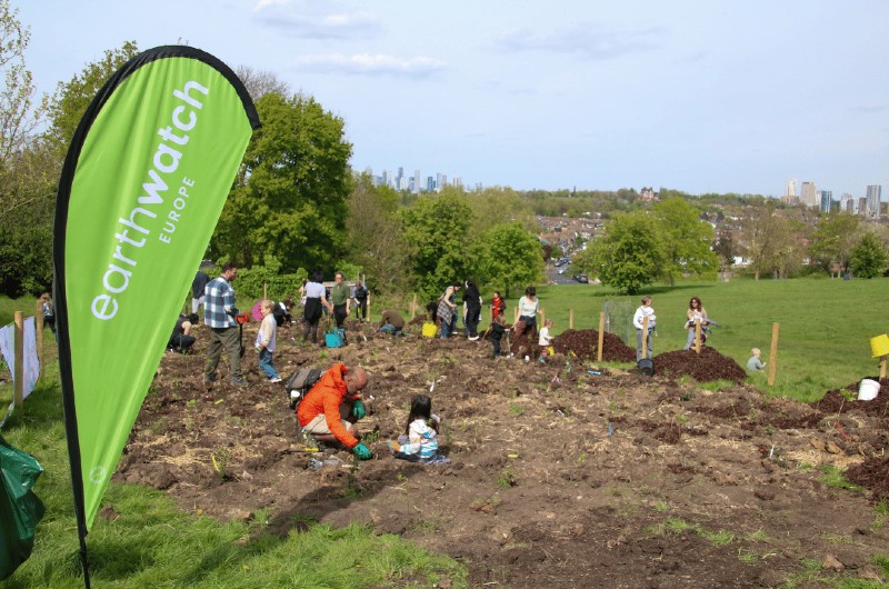 Earthwatch team at work