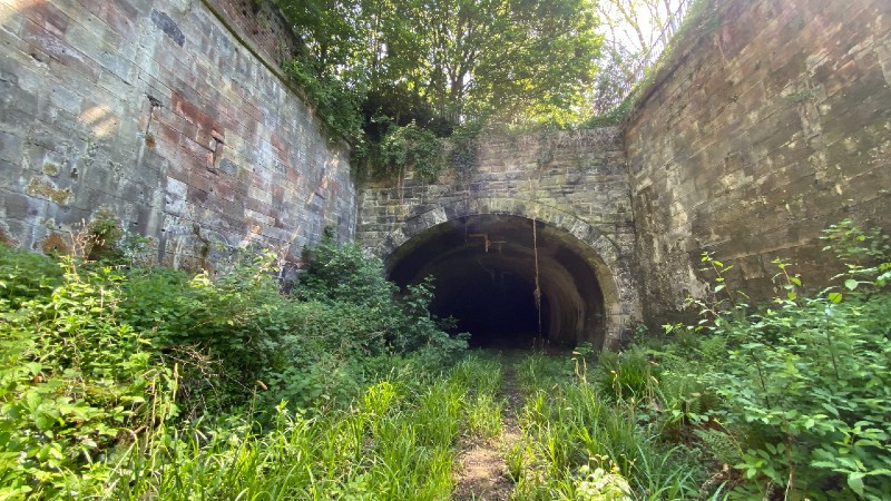 How ‘disturbance’ can support biodiversity around the Historical Railways Estate