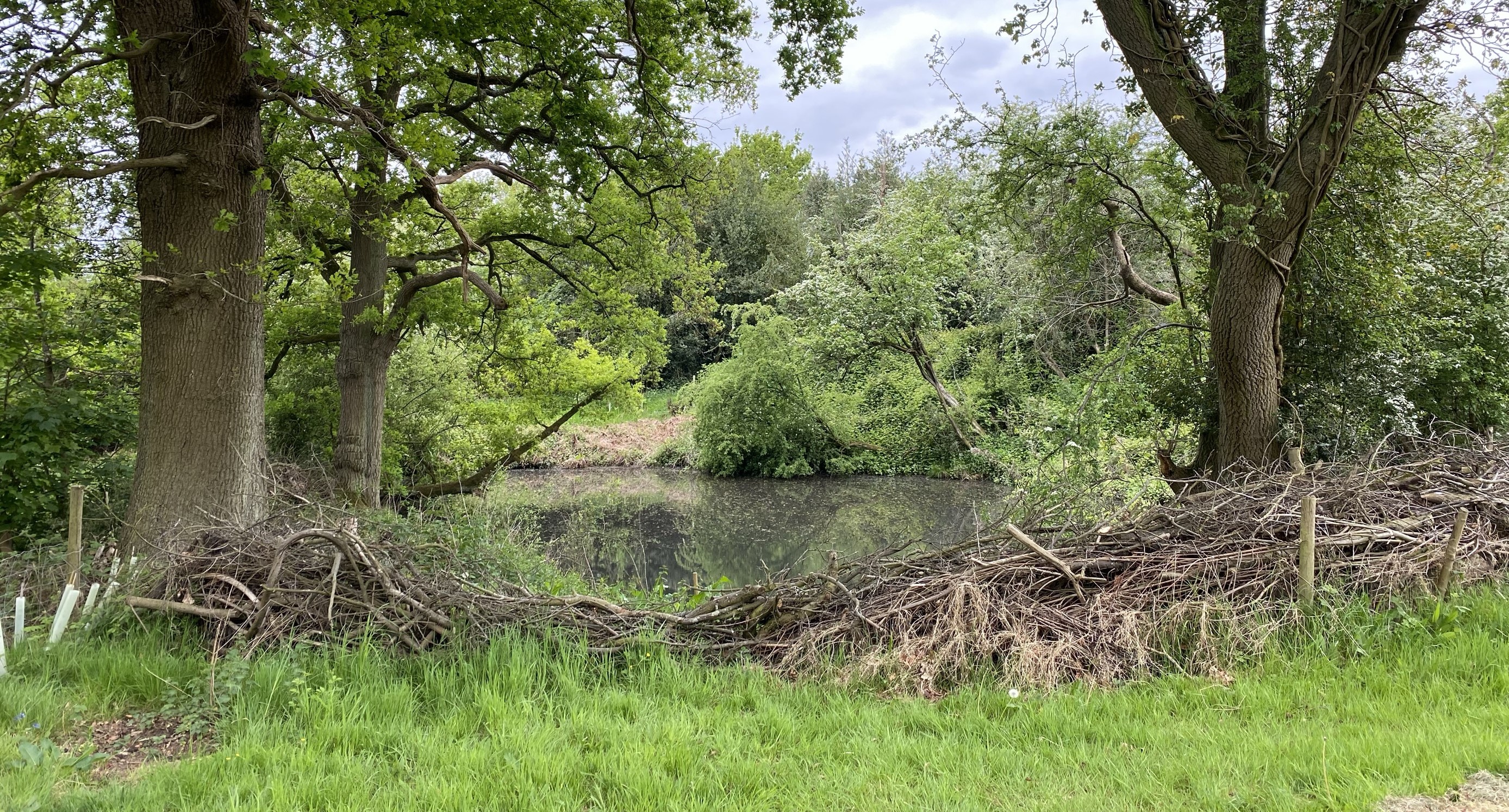 National Highways Increasing Palette Of Green Bridges National Highways