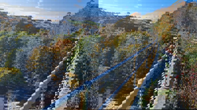 Minding the gap on biodiversity: Autumn update