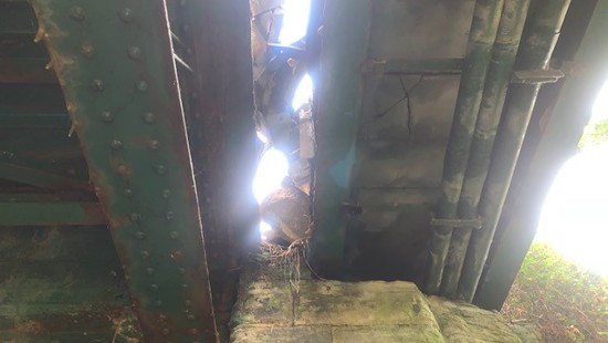 Images show extent of damage to A49 Onibury bridge following tractor collision