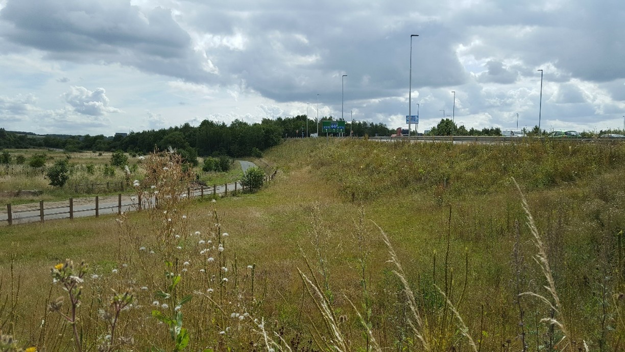 Photo 1: View east towards M1 junction 45. A63 on right. Plots establishing, but plots contain weeds and becoming overgrown. Source: Evaluation site visit August 2019.