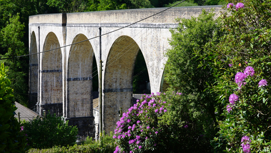 Thousands seize unique opportunity to walk across iconic Devon viaduct 