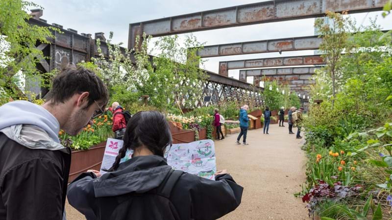 Celebrating one year of Manchester’s ‘garden in the sky’