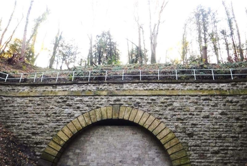 Hatch tunnel in the south west is now known locally as ‘the bat sanctuary’