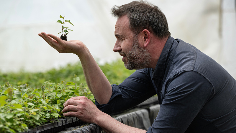 Our plan to plant an additional three million trees by 2030