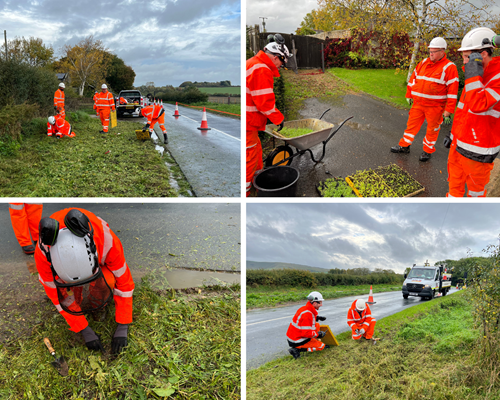 Volunteers and site team rewilding of a verge at Berwick on the A27 East of Lewes scheme.