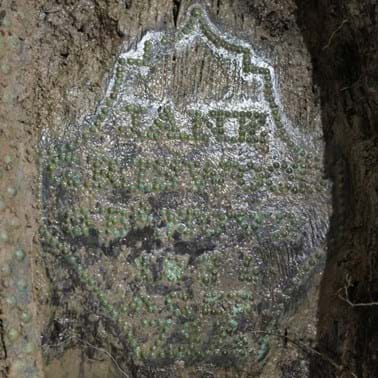Coffin inscription in copper studs