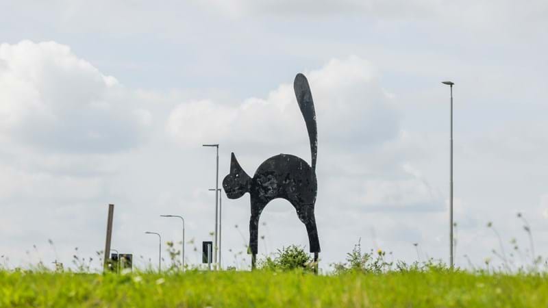 It’s Black Cat appreciation day - hear from the man responsible for the statue