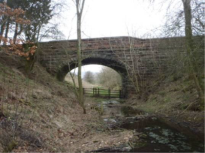 Image taken during 2015 exam showing flooding under the arch at a distance