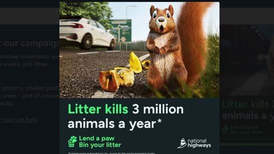 Road users implored to stop littering as deadly impact on wildlife is revealed 