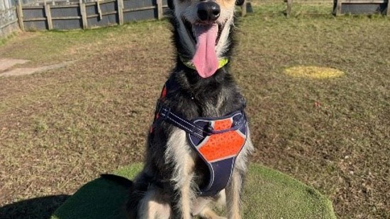             M42 scheme recycling drive benefits local communities 