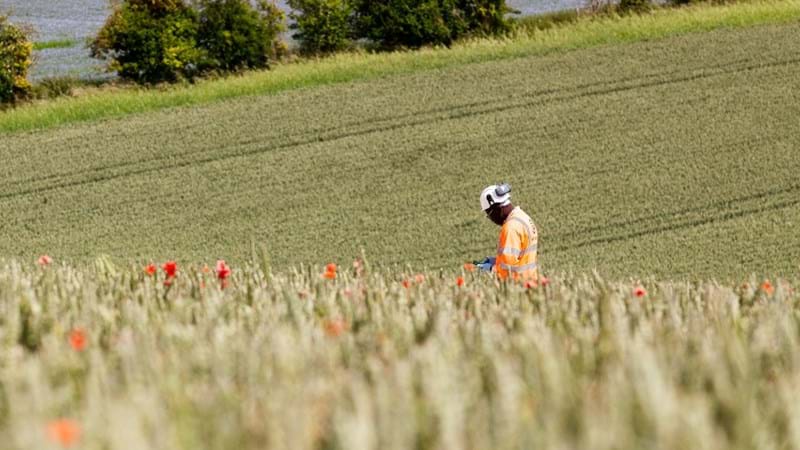 Search for A303 archaeological specialists kicks off