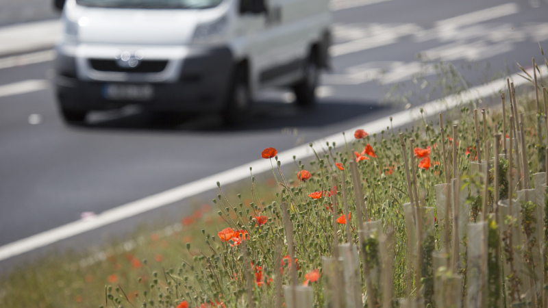 Air quality speed limit trials