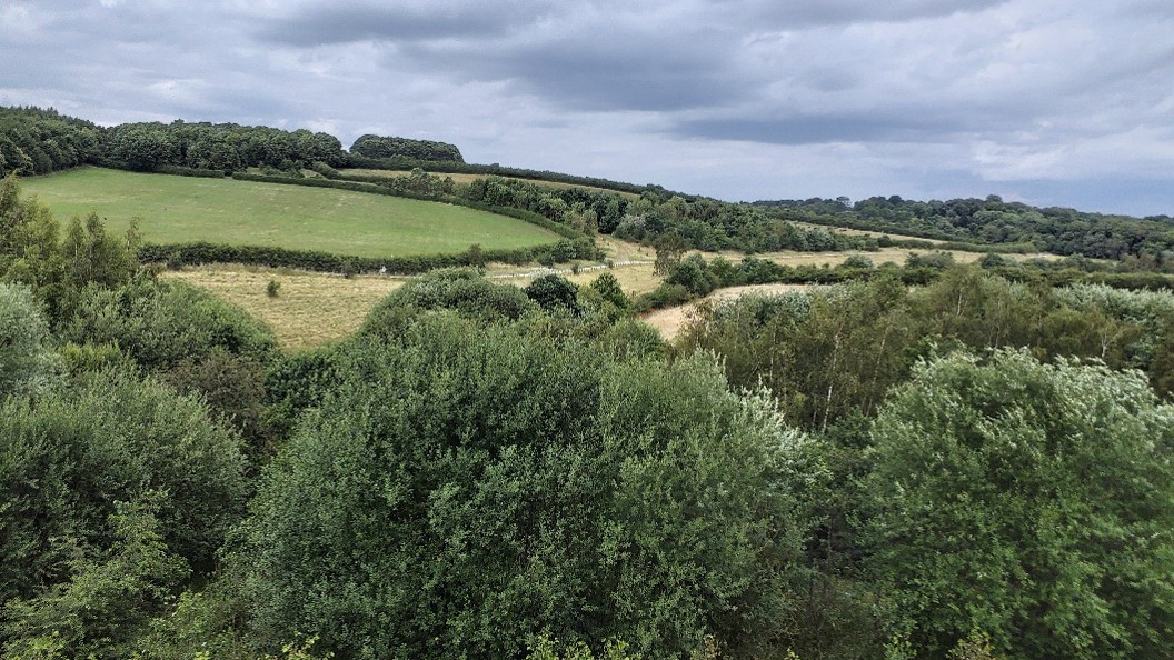 Photo 3: View north from new gantry on M1. Temple Newsam House beyond trees in centre of picture. Source: Evaluation site visit July 2023.