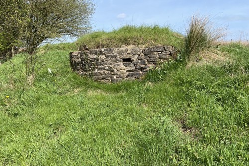 Underground bat chamber