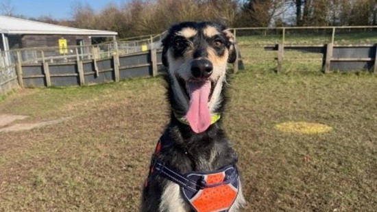             M42 scheme recycling drive benefits local communities 