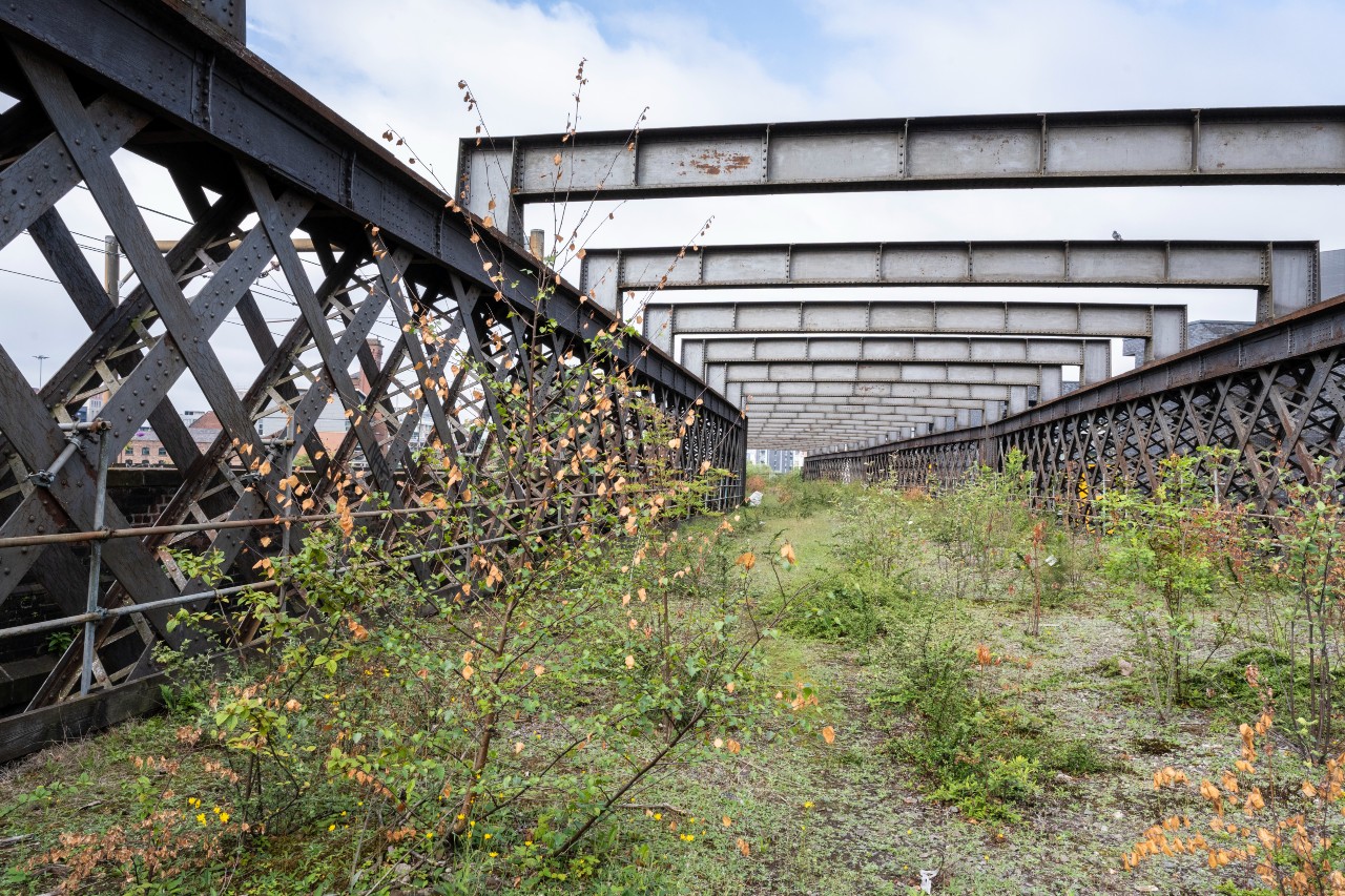 The area which will be transformed as part of the Phase 2 extension ©National Trust Images Paul Harris