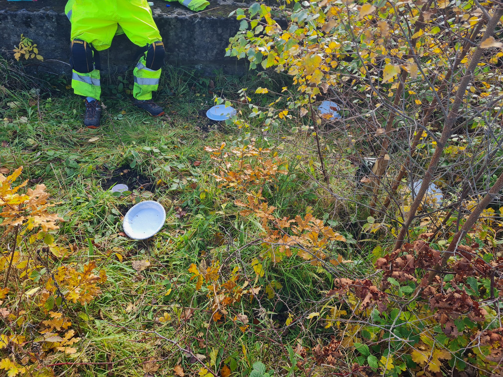 Pitfall traps allow you to see what invertebrates are foraging in the soils and undergrowth.