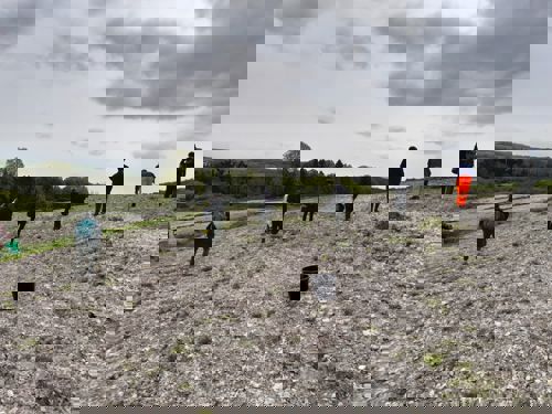 Volunteers spreading seeds