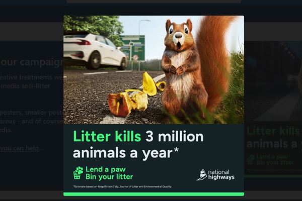 Road users implored to stop littering as deadly impact on wildlife is revealed