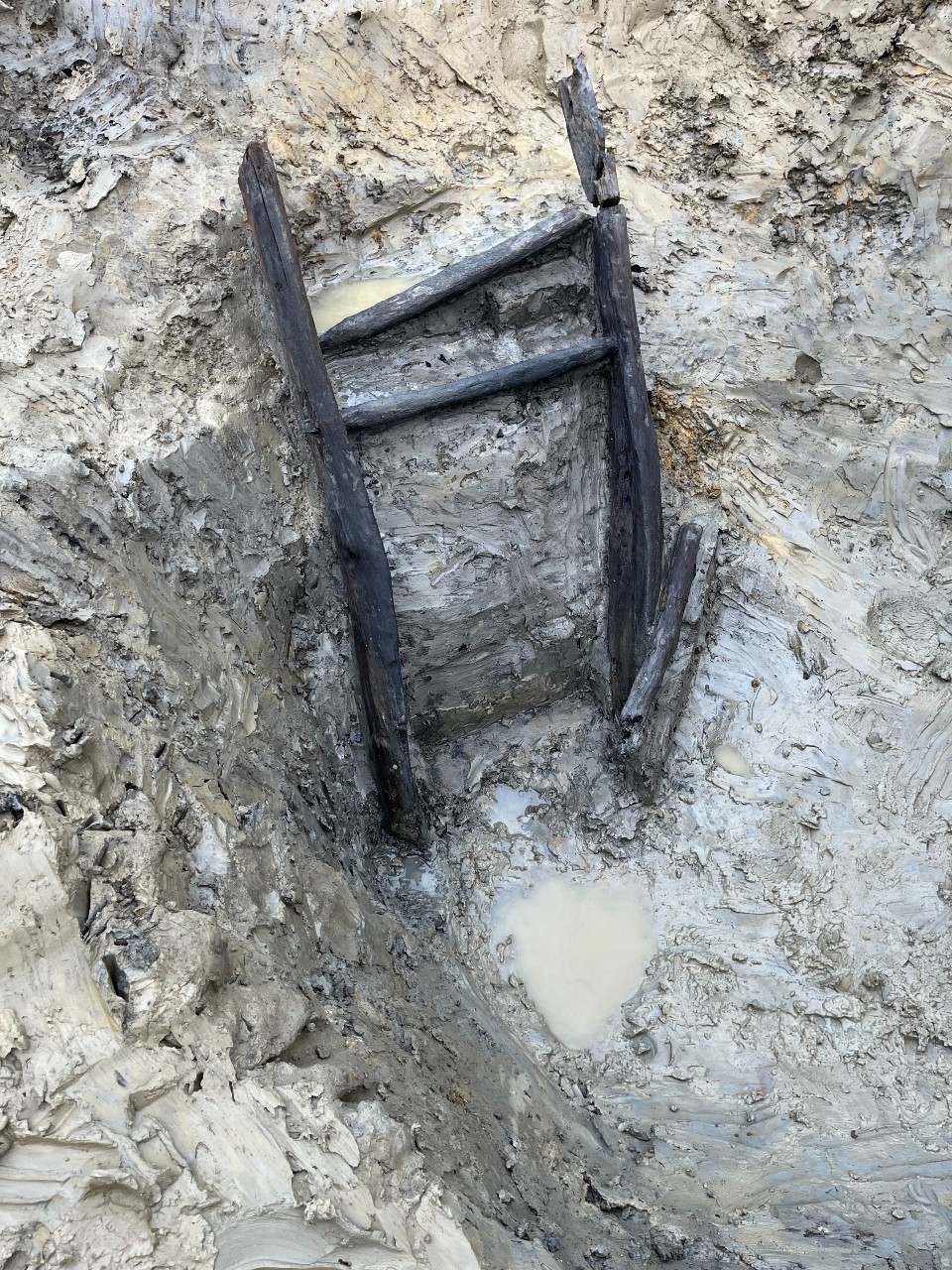 Preserved wooden ladder