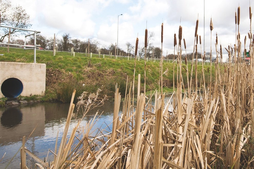 Example of a roadside attenuation pond