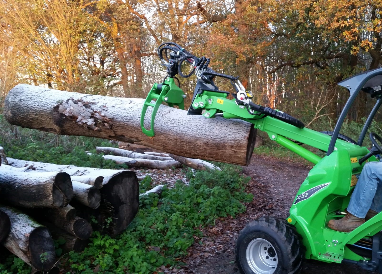Newly purchased machinery removing invasive species of trees.
