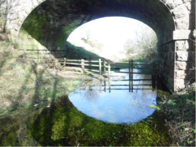 Image taken during 2017 exam showing flooding under the arch closer to the bridge