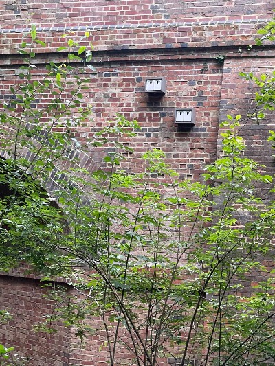 Sparrow nest boxes installed in south east.