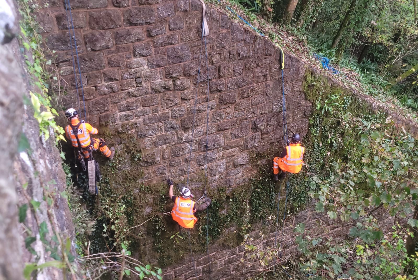 Operatives working on removing vegetation by ropes.