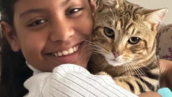 Cosmic the missing moggy reunites with owners thanks to National Highways 