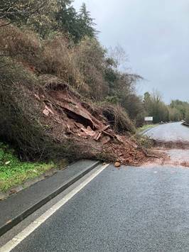A fallen tree on a road

AI-generated content may be incorrect.