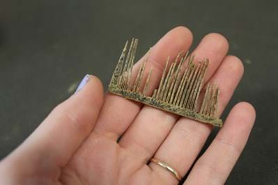 shell hair comb