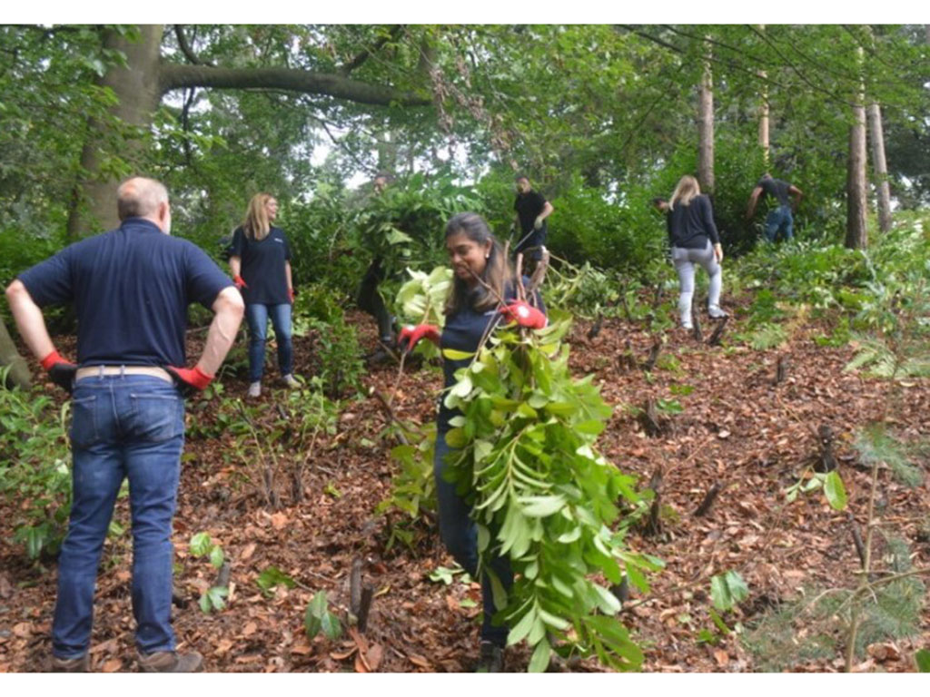 Landscaping work at Painshill Park