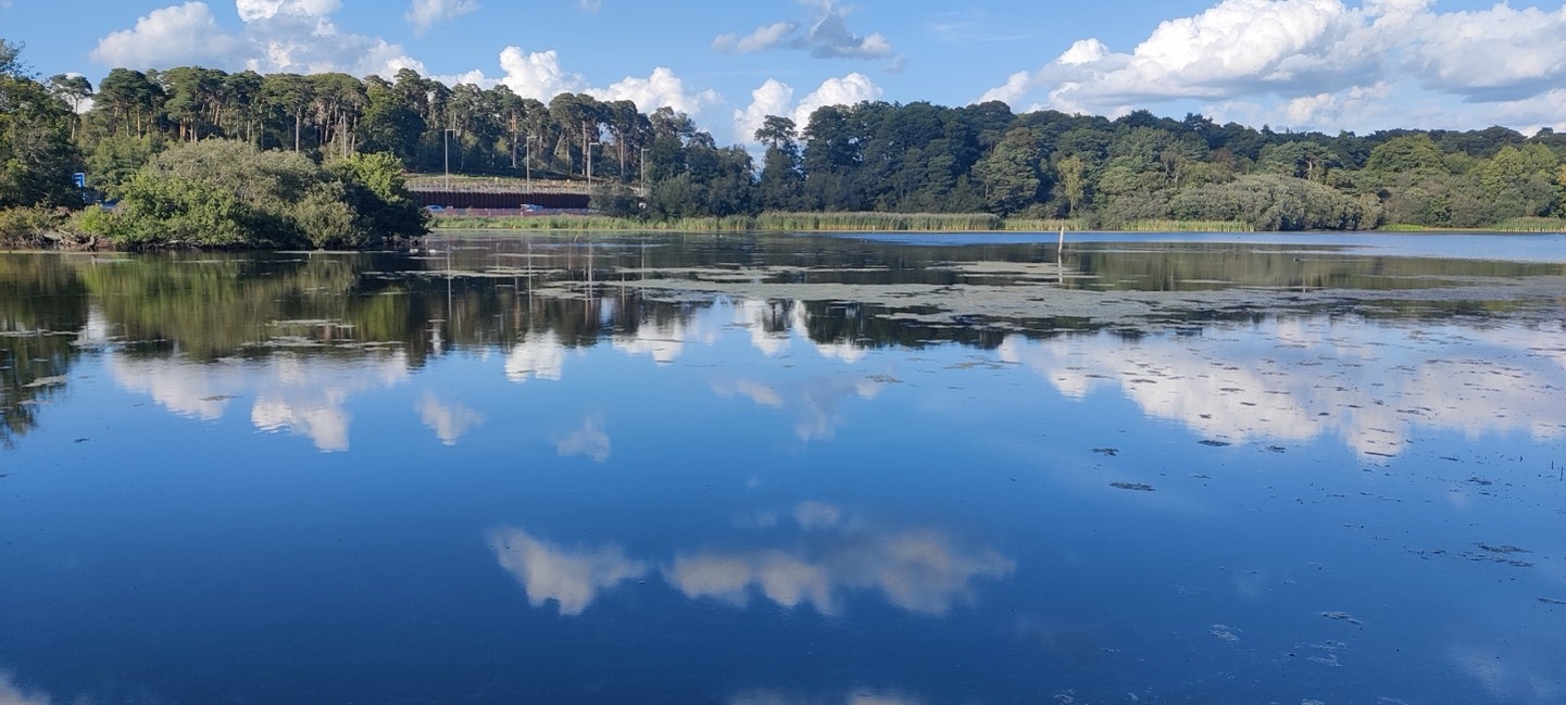 Bolder Mere reservoir next to the A3