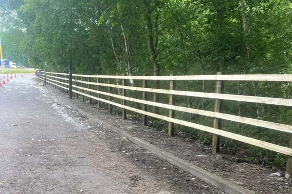 National Highways A46 Binley upgrade helping to protect ancient woodland 