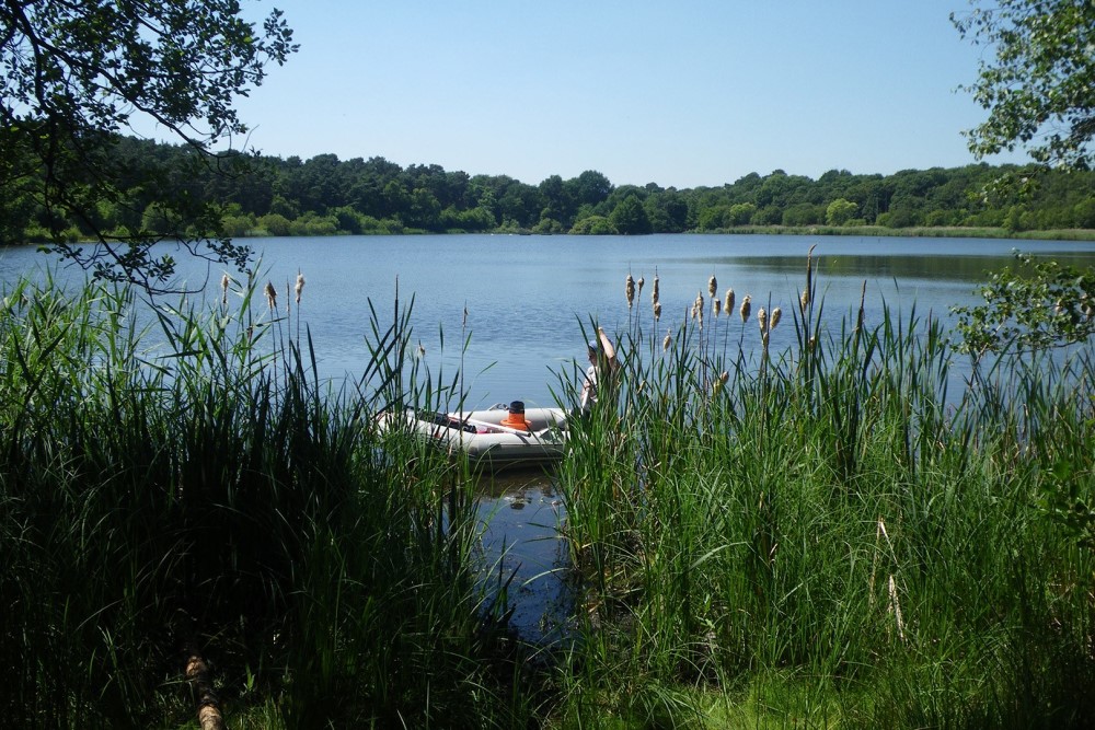 Bolder Mere reservoir next to the A3