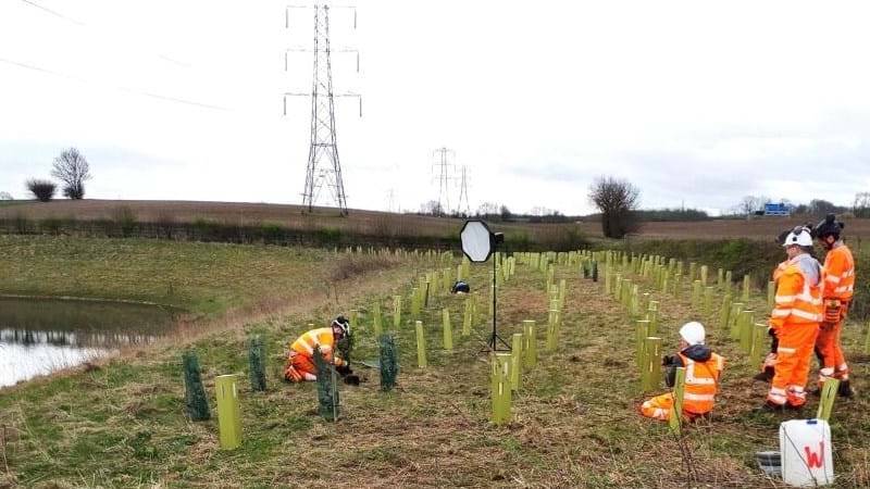 Green corridors help Yorkshire forests to flourish
