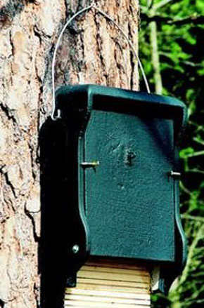 Bat box