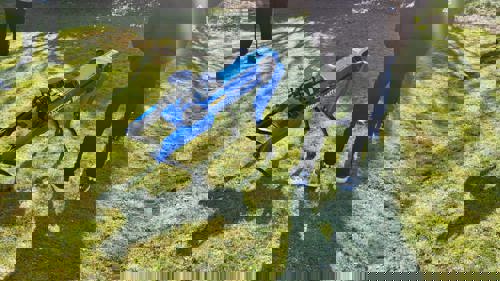 'Spot' the robot dog