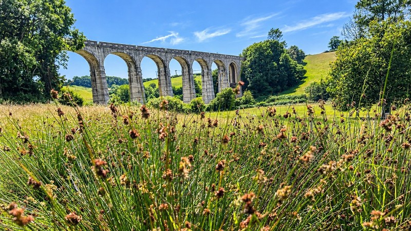 Cannington Viaduct opens to public for heritage weekend