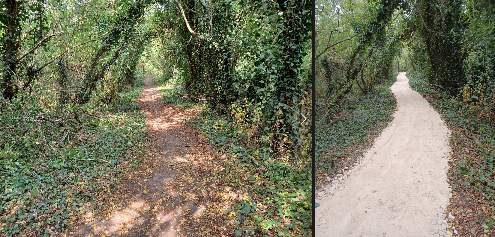 Before and after photos of Grays Wood Nature Reserve