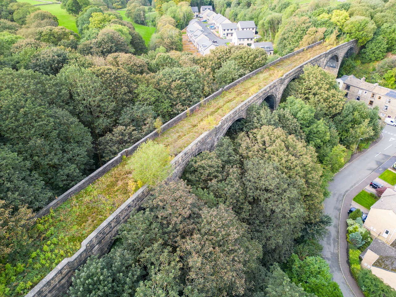 Viaduct hidden by excessive trees and vegetation in October 2023