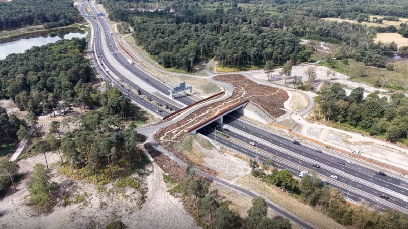 M25 junction 10 and the environment