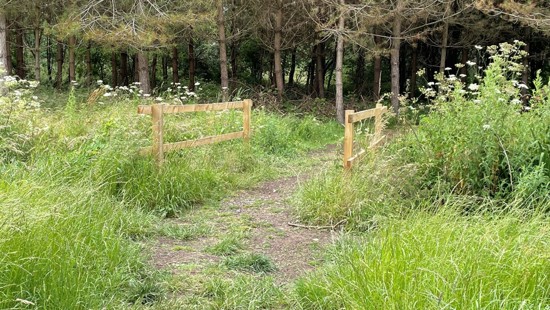 New path will boost active travel and safety for walkers near National Highways’ road scheme