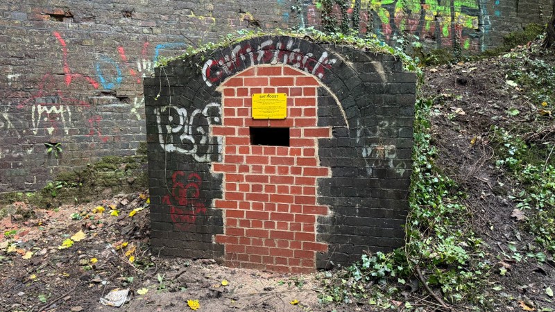 Old fogging hut converted to bat home