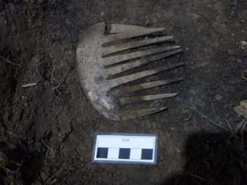 Hair comb with some sections broken, lying on soil